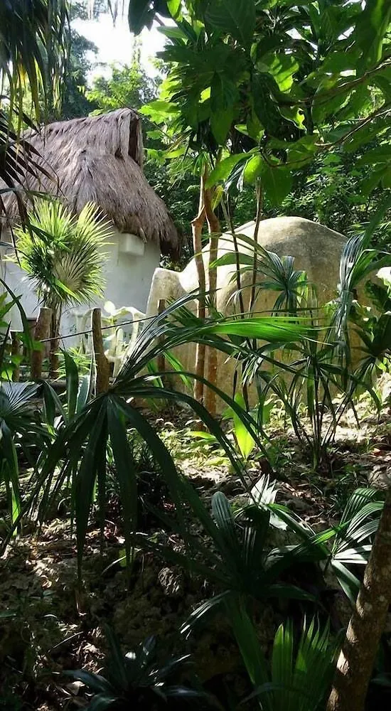 Kambulum Nature Eco-Villas Riviera Maya Hotell